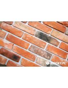 Płytki z lica + przybrudzone 2